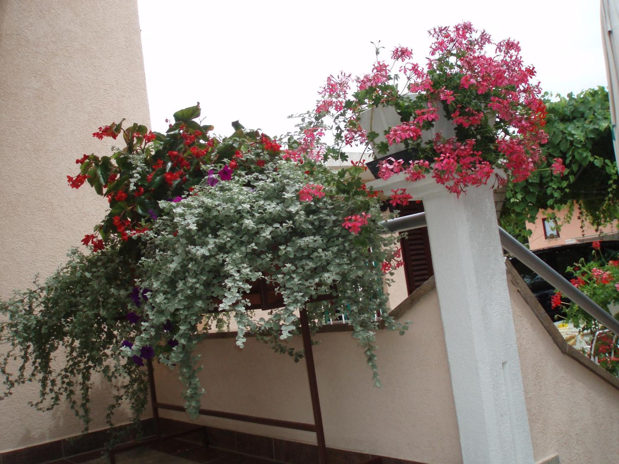 House Milan Ap2 * Fazana