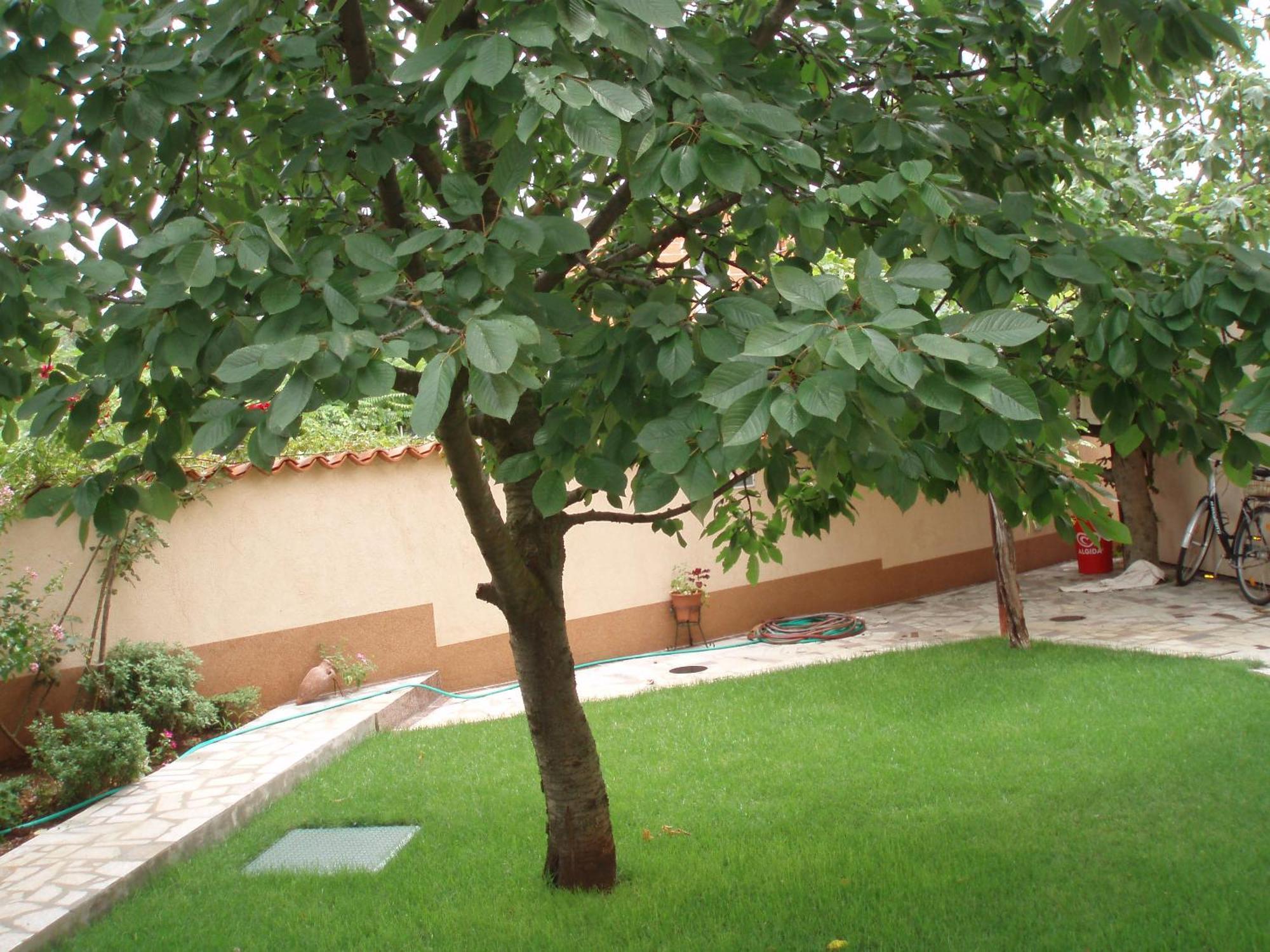 House Milan Ap2 Apartment